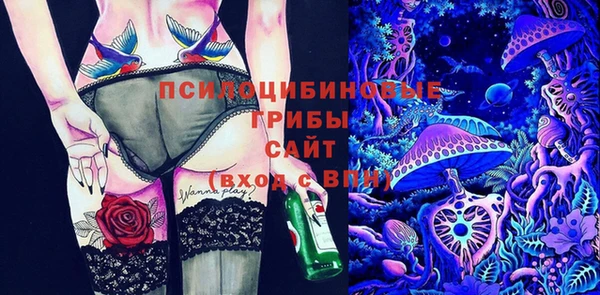 MESCALINE Аркадак